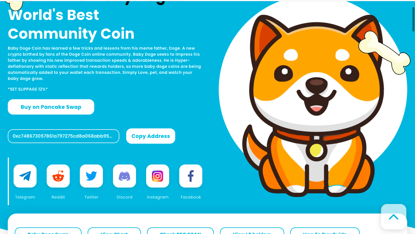 baby dogecoin buying process in India