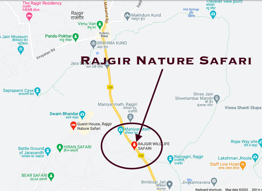 rajgir nature safarai zoo glass bridge location in rajgir bihar google maps
