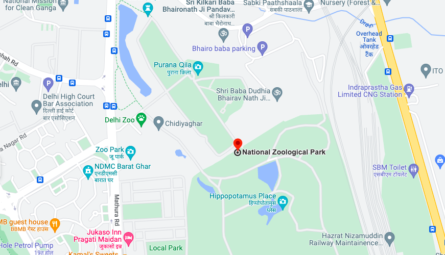 google map location of zoological park delhi zoo 